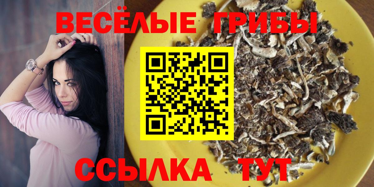 Псилоцибиновые грибы Psilocybine cubensis  Галлюциногенные грибы Cubensis  Ухта  Вход с VPN 